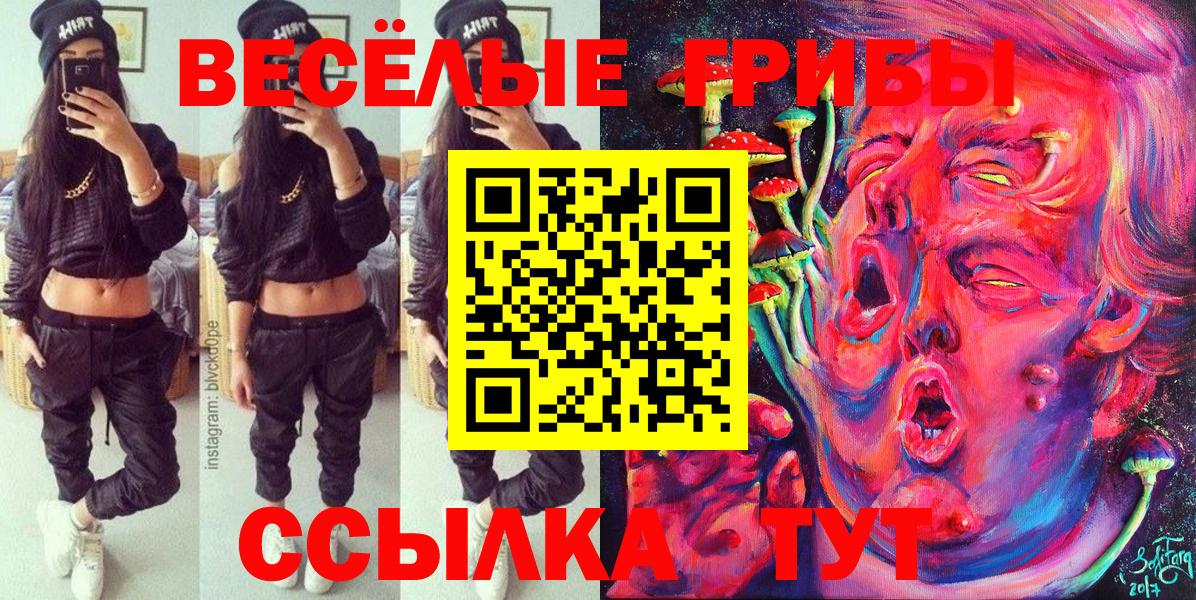 Галлюциногенные грибы прущие грибы Кольчугино