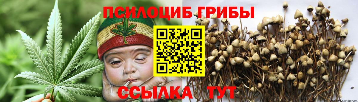 Галлюциногенные грибы GOLDEN TEACHER  Вход с VPN  Кольчугино 